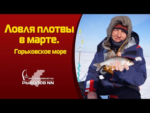 Видео: Ловля плотвы в марте  Горьковское море