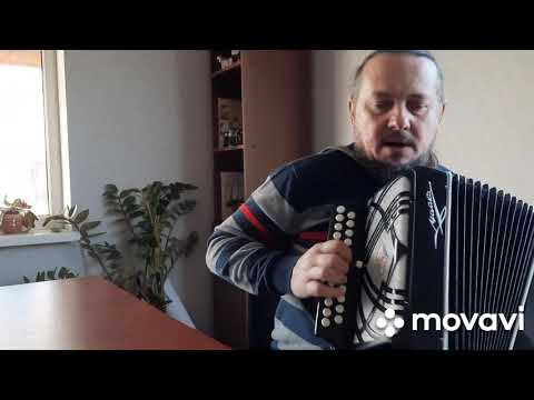 Видео: #Как научиться играть на гармони# урок 4#разбор частушек#