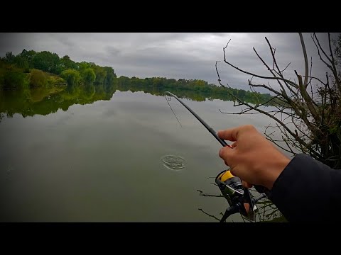 Видео: БОЛЬШОЙ ОКУНЬ ЖИЛ В КОРЯЖНИКЕ|МИКРОДЖИГ|Shimano 22 Soare SS S76UL-T