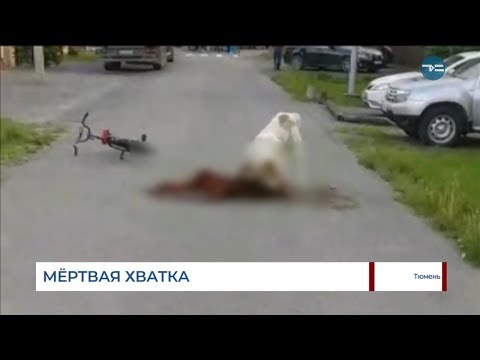 Видео: Мертвая хватка