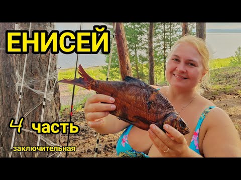 Видео: Отдых на ЕНИСЕЕ в июле 2023 года. КЕМПИНГ и РЫБАЛКА на Красноярском водохранилище, база Сосновый бор