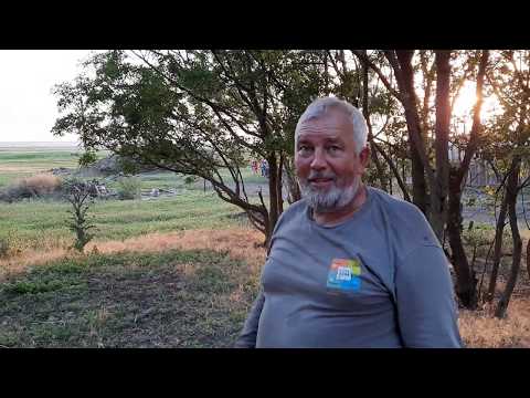 Видео: Овцы Михаила Владимировича Аверьянова, Бердянский район