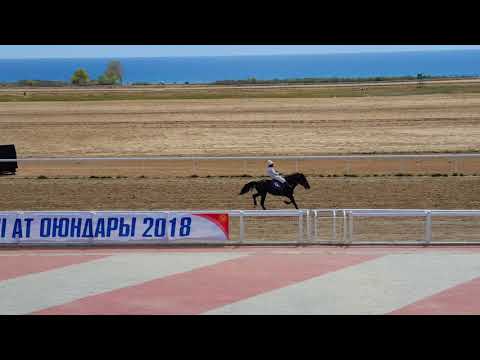 Видео: Скачки 05.05.18 жорго салыш 1 место -Вулкан 🥇🚘 Ипподром Ыссык-Куль