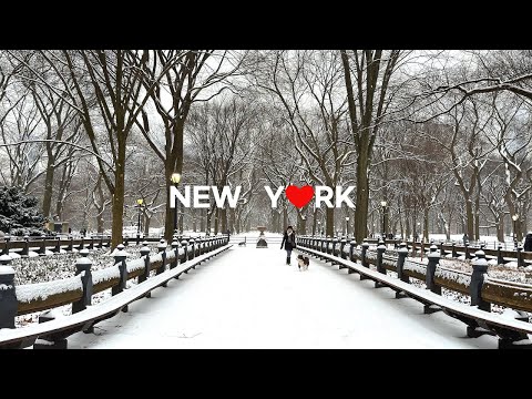 Видео: [4K]🇺🇸Нью-Йорк🗽☃️❄️ : Снежная утренняя прогулка в Центральном парке /16 января 2024 г.