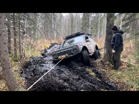 Видео: 4 дня в тайге |прошли непройденный маршрут.