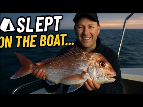Видео: Я спал на лодке… А потом случилось это 🎣 Рыбалка на снэппера в Виктории