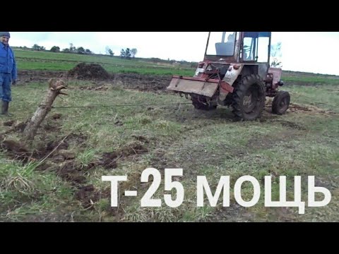 Видео: Корчуєм дерева / Т 25 в роботі! 2 Частина!