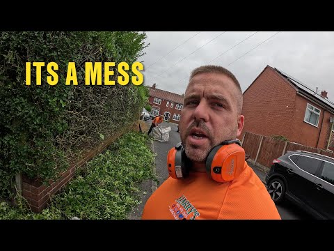 Видео: Посмотрите, как я обрезаю живую изгородь из бирючины, СИЛЬНОЕ обрезание, странно удовлетворяющее