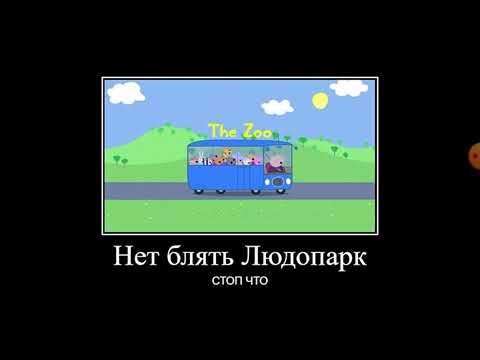 Видео: Муд свинка пеппа👍🤣😂😅