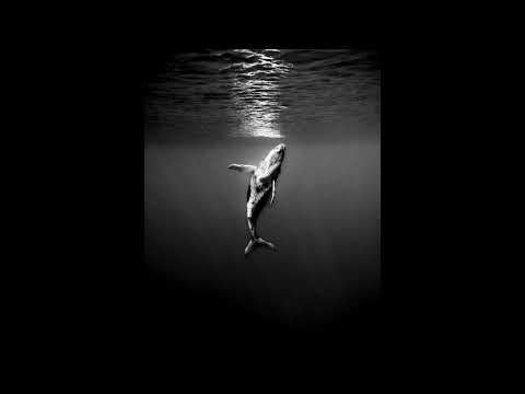 Видео: [free for profit] SAD STORYTELLING PIANO TYPE BEAT - "UNDERWATER" ГРУСТНЫЙ БЕСПЛАТНЫЙ БИТ ЛИРИЧНЫЙ