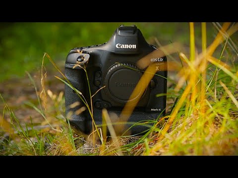 Видео: canon 1Dx markii нелепый мега обзор / купил мечту )