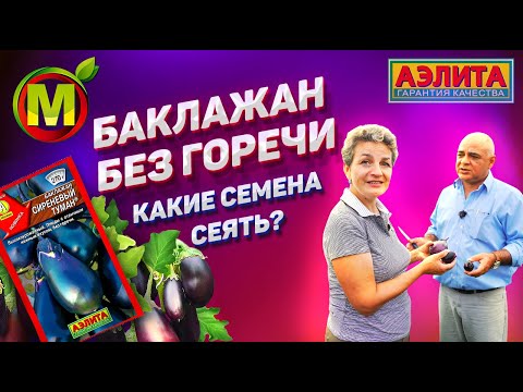 Видео: БАКЛАЖАНЫ БЕЗ ГОРЕЧИ – Семена Баклажана Сиреневый туман