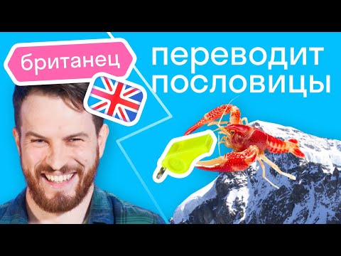 Видео: «Не фразы, а бред!» // Как иностранец понимает русские пословицы