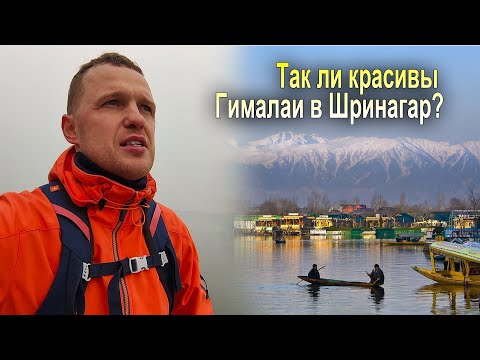 Видео: ИНДИЯ 2 | Так ли красивы Гималайские горы на севере Индии в Шринагар?