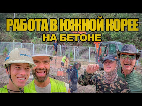 Видео: СКОЛЬКО ПЛАТЯТ В КОРЕЕ? РАБОТА В ЮЖНОЙ КОРЕЕ!   #korea #work #money #vlog