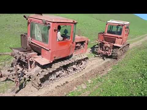 Видео: НАСМЕШИЛ ОТ ДУШИ 🤯