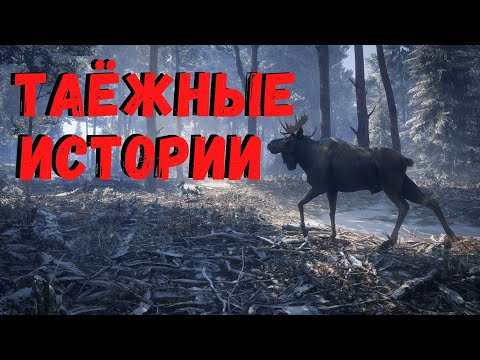 Видео: ТАЁЖНЫЕ РАССКАЗЫ | Страшные истории