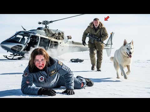 Видео: «Ветеран и пёс-волк спасли раненую лётчицу. То, что было дальше — никто не ожидал.»