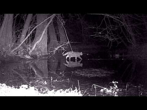 Видео: Маршрут 1 2025-10-25 _2025-11-05