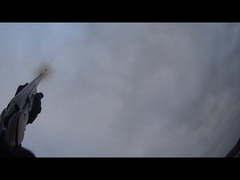 Видео: Голуби Николаевской породы хорошо летают но мешают