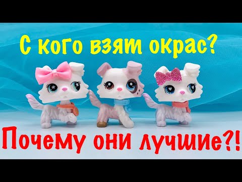 Видео: LPS: ПОЧЕМУ ОНИ ЛУЧШИЕ?! С КОГО ВЗЯТ ОКРАС?