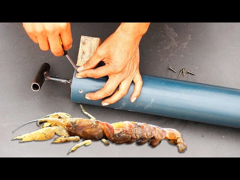 Видео: Посмотрите, какой хитроумный инструмент изготовил рыбак, чтобы легко добыть живую наживку.