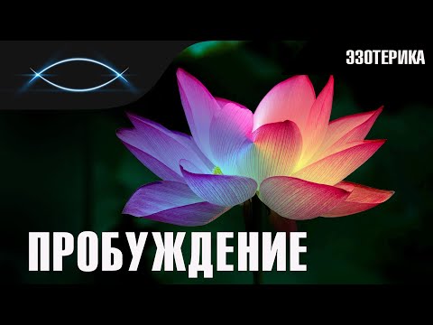 Видео: Пробуждение Кундалини. Какие изменения происходят с пробуждённым?