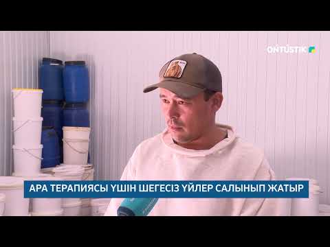Видео: АРА ТЕРАПИЯСЫ ҮШІН ШЕГЕСІЗ ҮЙЛЕР САЛЫНЫП ЖАТЫР /// 16.10.2025