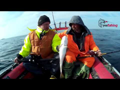 Видео: Баренцево море. Рыбалка в Териберке. Треска на Шуруповерт. часть 1