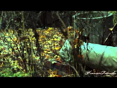 Видео: Мы у Бога о многом просим_Дружки (Георгий Алексеев)