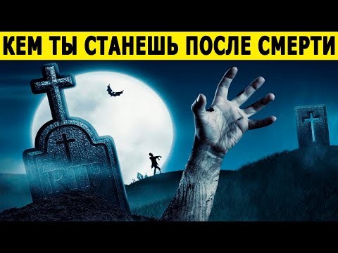Видео: Тест! Кем ты Станешь После СМЕРТИ? Что с тобой произойдет? Невероятный Тест! Расскажет о вас правду
