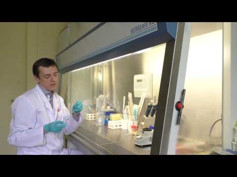 Видео: Расходные материалы для микробиологической лаборатории