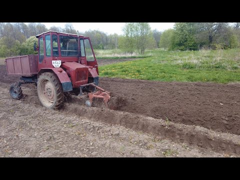 Видео: Вспашка огорода трактором Т-16. Легендарный ШАССИК в работе!!!