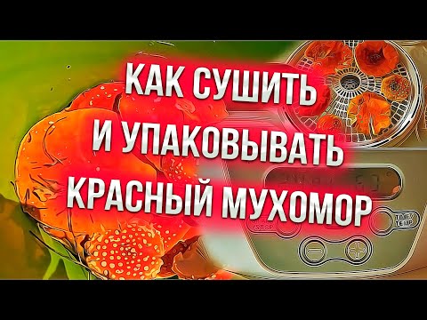 Видео: Sem Mer собрал и засушил мухоморы !!!