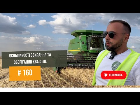 Видео: #160 Нарешті 🔥 Технологія уборки квасолі на насіння🫘 Нова технологія зберігання. Комбайн, вологість.