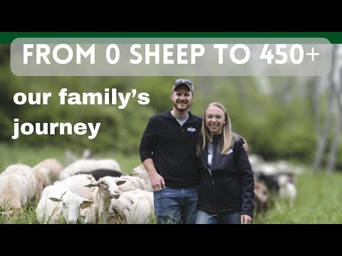 Видео: Непростой путь нашей семьи к полноценному фермерству | Овцеводство в 2024 году