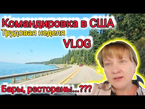 Видео: Докатилась до северо-запада Монтаны. ВЛОГ. Трудовая неделя в командировке.