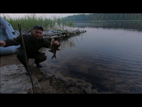 Видео: На резинку в жару. ТВЕРСКАЯ ОБЛ ловля ЛЕЩА