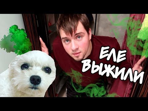 Видео: 24 ЧАСА В КЛАДОВКЕ С СОБАКОЙ | ЭТО НЕВОЗМОЖНО!