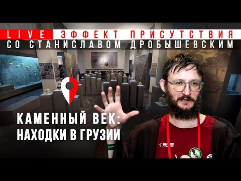 Видео: Станислав Дробышевский на выставке "Грузия Каменного века". #Эффект_присутствия