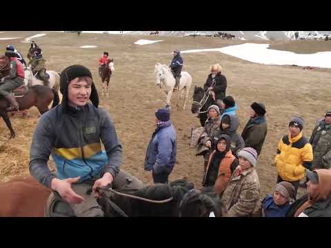 Видео: Төле би ауданы Қостөбе ауылы  2003 жылғы түлектер берген көкпар  20 ЖЫЛДЫҚ