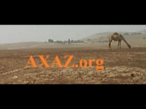 Видео: 572. Анекдот о предлогах ЛЭ- и БЭ- в иврите