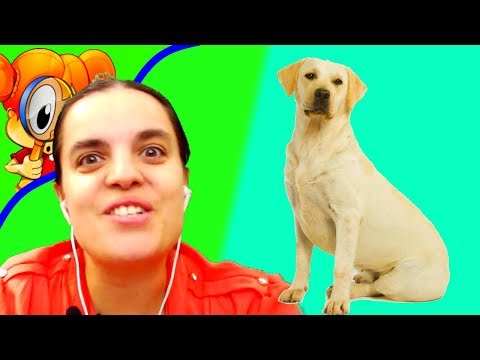 Видео: БолтушкА ВеселушкА и ОЧЕНЬ Симпатичная СОБАЧКА! ИГРЫ и Прохождения