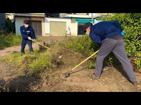 Видео: Очистите заросший сорняками задний двор и превратите его в шедевр