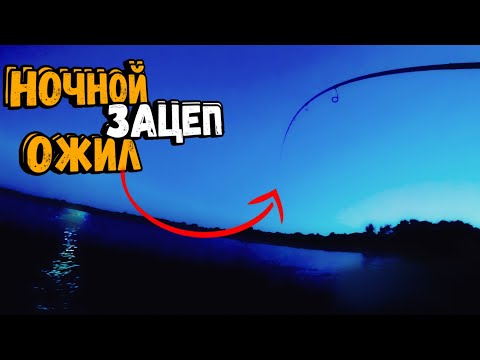 Видео: !!!ПОКЛЕВКА до МУРАХ!!! Судак судаком а этот ЗВЕРЬ желанный гость