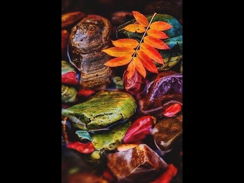 Видео: ОКТЯБРЬ-НОЯБРЬ--ДЕВА астро