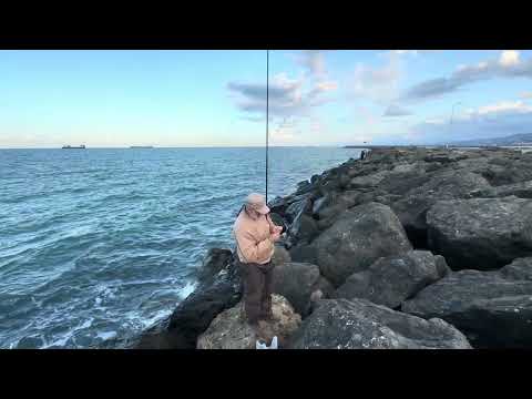Видео: Ловля ставриды на Черном море в Турции на берегу города Самсун, на снасть Sabiki или самодур.