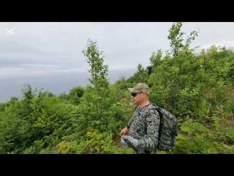 Видео: 1 ноября 2025 г.