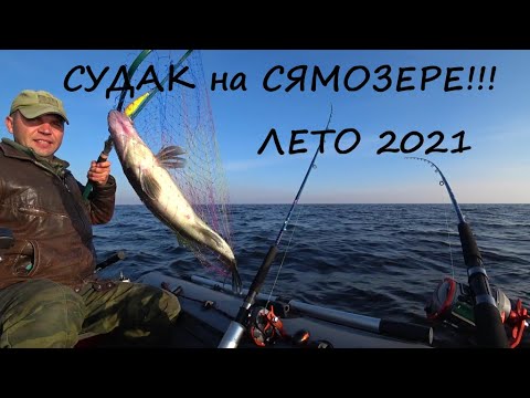 Видео: СУДАК на СЯМОЗЕРЕ лето 2021!!! РЫБАЛКА в КАРЕЛИИ!!!