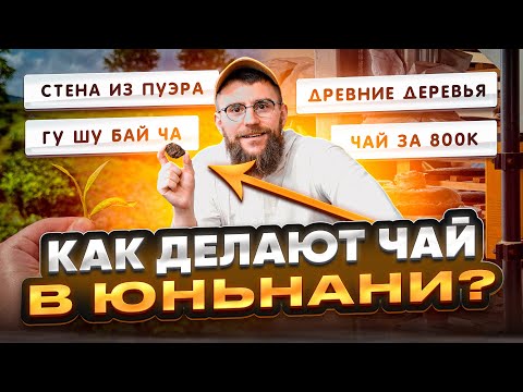 Видео: Как делают пуэры в Юньнани? Путешествие по Мэнхаю | Чайная мастерская — лучший китайский чай